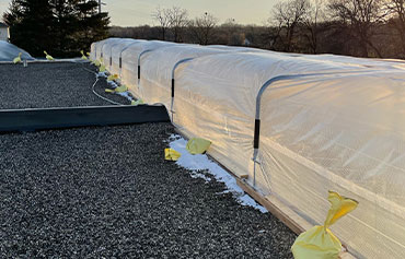 ENCLOSURES AND WRAPS
